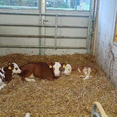 Schustererhof * 인스브루크