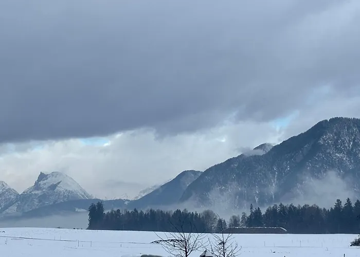 Schustererhof Apartment *