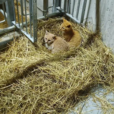 Schustererhof Apartamento Innsbruck