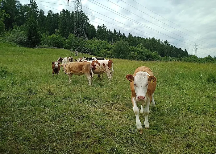 Appartement Schustererhof *