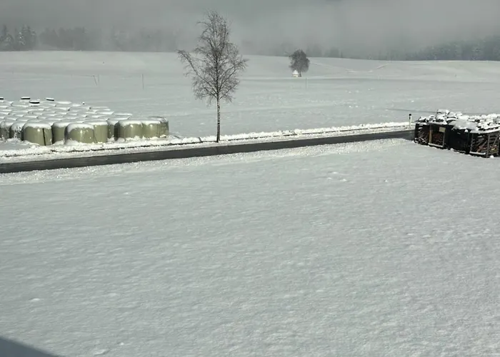 Schustererhof شقة إنسبروك